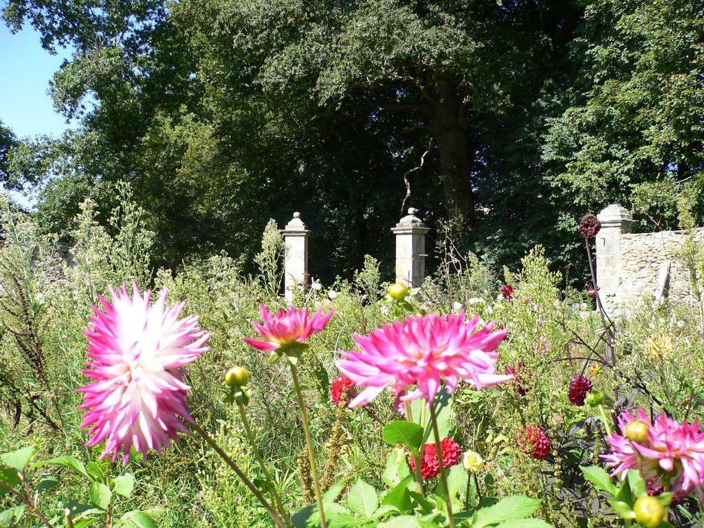 Chateau De La Marronniere Bed and Breakfast Aizenay Buitenkant foto